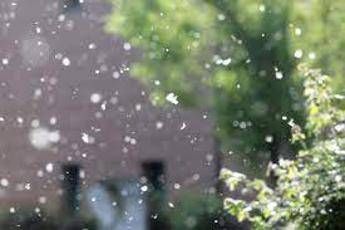 allarme allergie con la crisi climatica durano 45 giorni in piu 2