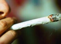 cannabis potenza in aumento 5 cose da sapere su rischio psicosi 2