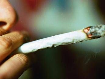 cannabis potenza in aumento 5 cose da sapere su rischio psicosi 2