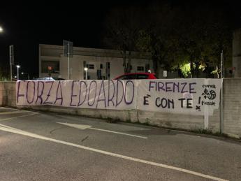 malore bove quali sono le ipotesi e cosa si prospetta ora parla lesperto 2