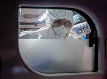 virus nipah in europa e rischi contagio cosa dice lecdc e i consigli per chi viaggia 2