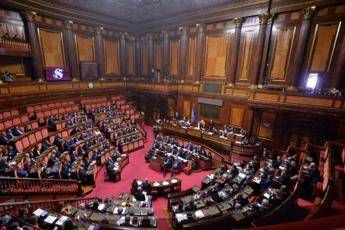 legge su epilessia sin e lice confermano attenzione costante alliter 2