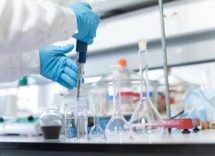 mieloma multiplo terapia con 3 farmaci triplica la sopravvivenza dei pazienti 2