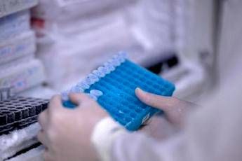 scoperto il virus gigante ushikuvirus lo studio puo darci indizi su origine della vita 2