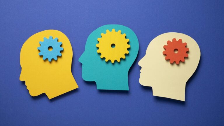 67e161df63704069581360