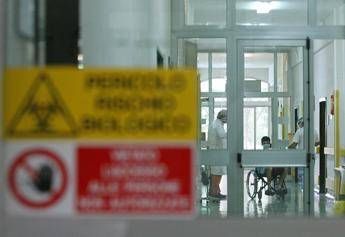 aviaria lallarme ce rischio che diventi pandemia come il covid 2
