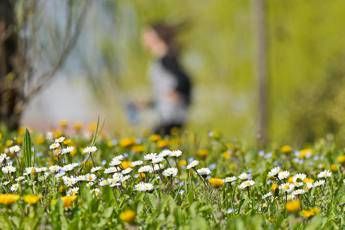 da allergie a sonno cattivo ecco gli acciacchi di primavera e come affrontarli 2