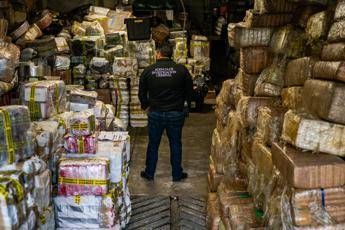 droga medico gatti attenzione ai farmaci a rischio abuso e contraffatti cosa insegna il caso usa 2