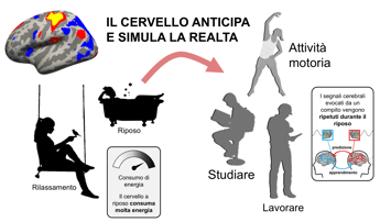 il cervello non e mai davvero spento ecco cosa succede quando e in relax 2