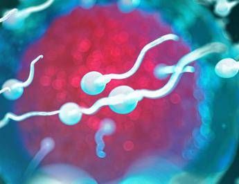 sperma di qualita migliore uomini piu longevi la scoperta nello studio danese 2