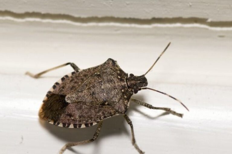 image 1b7d392f 3e37 4d52 aa21 71171e2ba95d