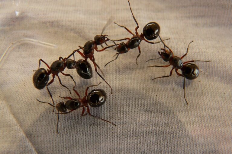 image a623c7a3 0e72 4f9b a96f c30ea6adfa91