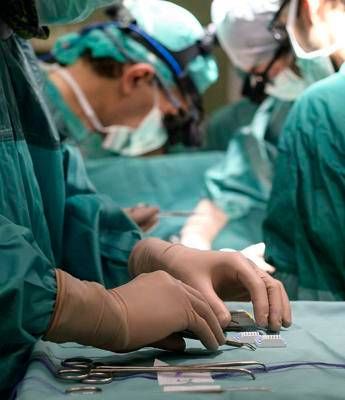 ricerca al bambino gesu fegati tenuti in vita per studi su malattie metaboliche 2