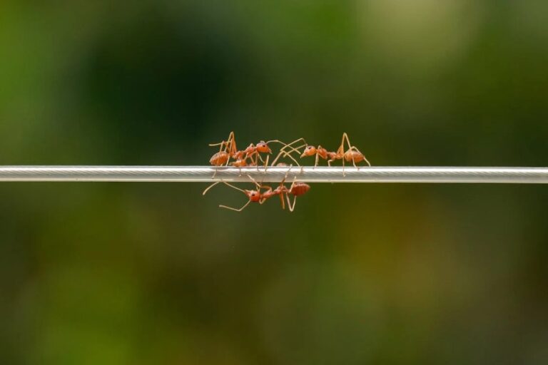 image c9a6348f 3556 4a73 8036 2d28c3aaf114