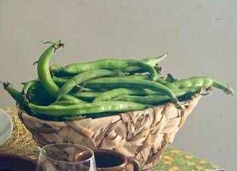 1 maggio fave e pecorino alla scampagnata mix ideale per la salute ecco perche 2
