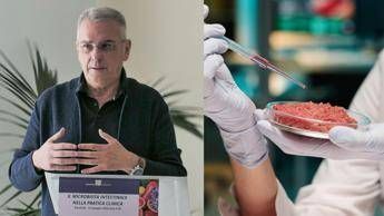 domani e lhamburger day meglio naturale o sintetico risponde il medico nutrizionista 2