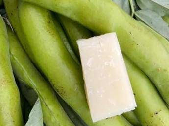 favismo per 400mila italiani rischi anche da farmaci e infezioni 2
