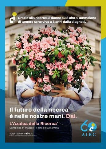 lazalea della ricerca airc torna a sbocciare per la salute delle donne 2