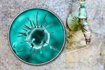 malattie rare sitrac non accessibile farmaco approvato in cheratite da acanthamoeba 2