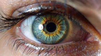 medicina in abruzzo prima terapia genica per la maculopatia 2