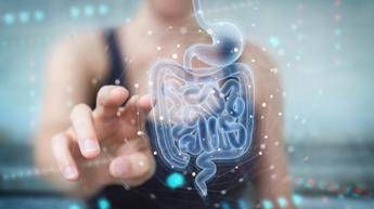 microbiota fondamentale per il benessere studio svela il perche 2