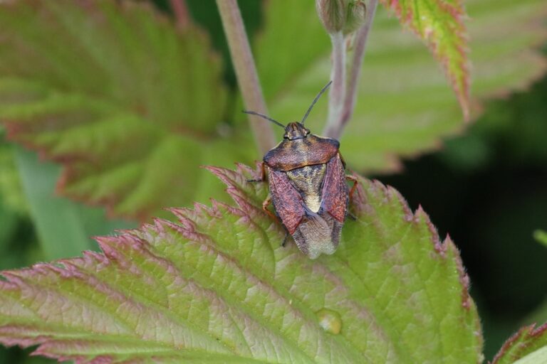 image f43b6ebf 7921 4369 aab6 f6f524812055