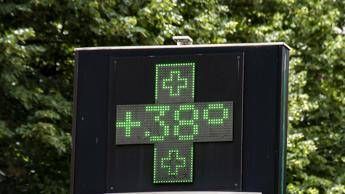 caldo e integratori quali assumere e perche 2