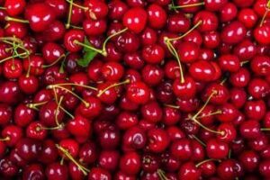 la ciliegia e le qualita nascoste calabrese anche il gambo fa bene 2