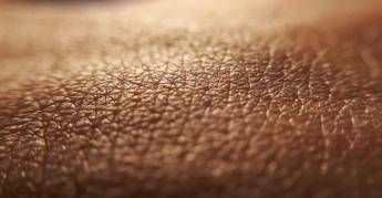 medici ambiente aumenta eta biologica organismo e la pelle e piu a rischio 2