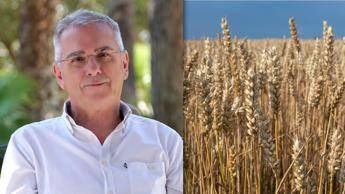 nutriente versatile e senza glutine cose il grano de oro 2