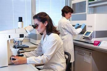 al campus bio%e2%80%91medico un dirigente su due e donna il nuovo piano di uguaglianza di genere 2