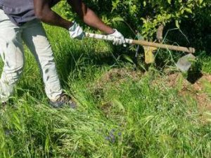 caldo rebuzzi puo uccidere impedire lavoro allaperto nella morsa dellafa 2