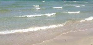estate alert ecdc con mare piu caldo sale rischio infezioni da batteri vibrio 2