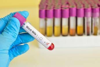 infezione da west nile cose la malattia sintomi e raccomandazioni 2