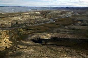 proteine di oltre 20 milioni di anni fa rivoluzionano gli studi evoluzionistici 2