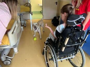 sma al besta studio benefici pet therapy con purina e fridas friends 2