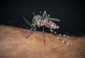 sos dengue e chikungunya aumentano i casi autoctoni la mappa del rischio in italia 2