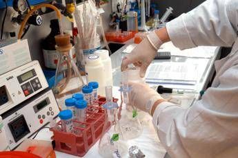 studio italiano sul morbillo dove vaccinazioni calano virus piu vario e resiliente 2
