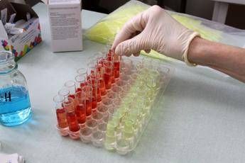 svolta nella produzione di sangue artificiale un segnale puo farla decollare 2