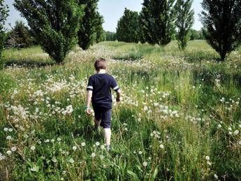 bambini di campagna piu a rischio diabete la sorpresa da uno studio 2