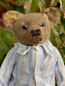 a teddy bear serve un nuovo look lappello della scienza per peluche eco maestri 2