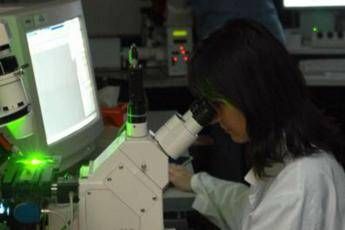 sclerosi multipla nuovi criteri per diagnosi piu rapide e precise 2