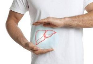 steatosi epatica studio dimostra efficacia nutraceutico con alghe brune 2