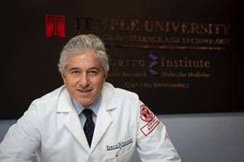 terra dei fuochi oncologo giordano ne marchio ne capitolo di bilancio ferita ancora aperta 2