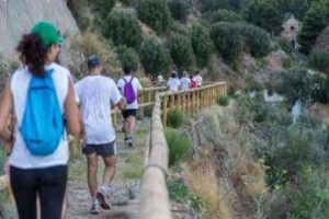 tumori torna fitwalking for ail camminata solidale per i pazienti ematologici 2