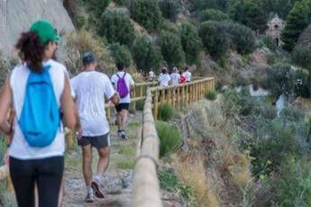 tumori torna fitwalking for ail camminata solidale per i pazienti ematologici 2