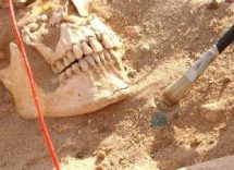 due batteri sfiancarono lesercito di napoleone nella campagna di russia 2