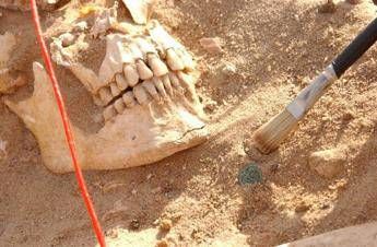due batteri sfiancarono lesercito di napoleone nella campagna di russia 2