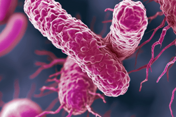 farmaci dallitalia un anticorpo contro il superbatterio klebsiella pneumoniae 2