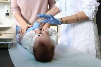 giornata meningite alto tasso mortalita e gravi conseguenze scheda 2